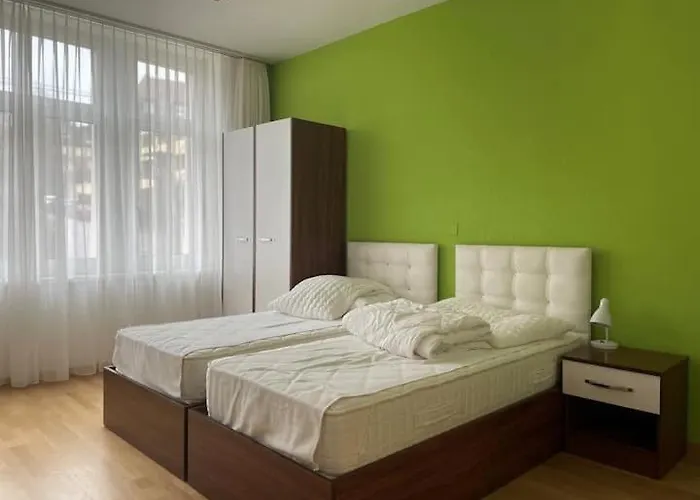 Renovated Apartment Near Zurich Lake Sees