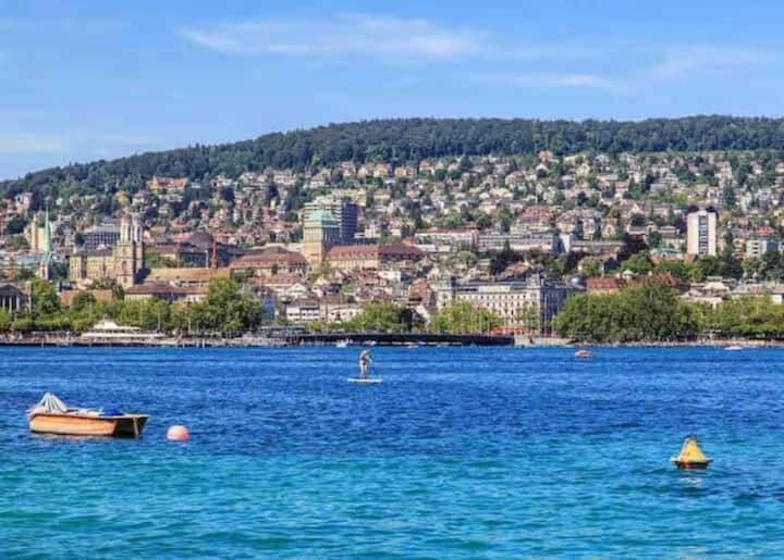 Renovated Near Sees Zurich